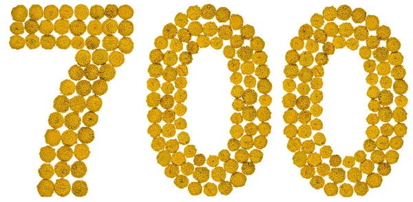 Arapça rakamı 700, yedi yüz, gelen solucan otu, sarı çiçek,