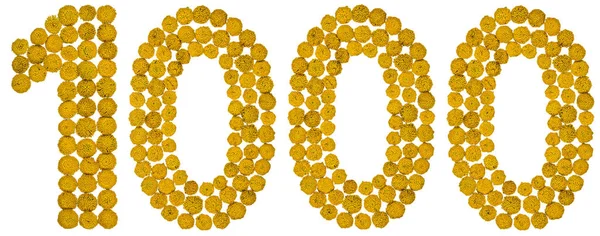 Arapça rakamı 1000, 1000, gelen solucan otu, sarı çiçek,
