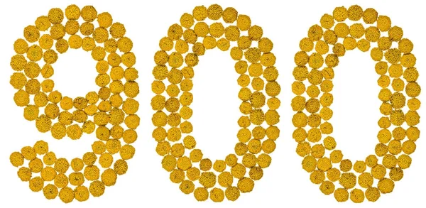 Arabiska siffror 900, nio hundra, från gula blommor av renfana, — Stockfoto