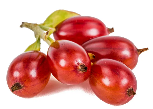 Johannisbeeren isoliert auf weißem Hintergrund — Stockfoto