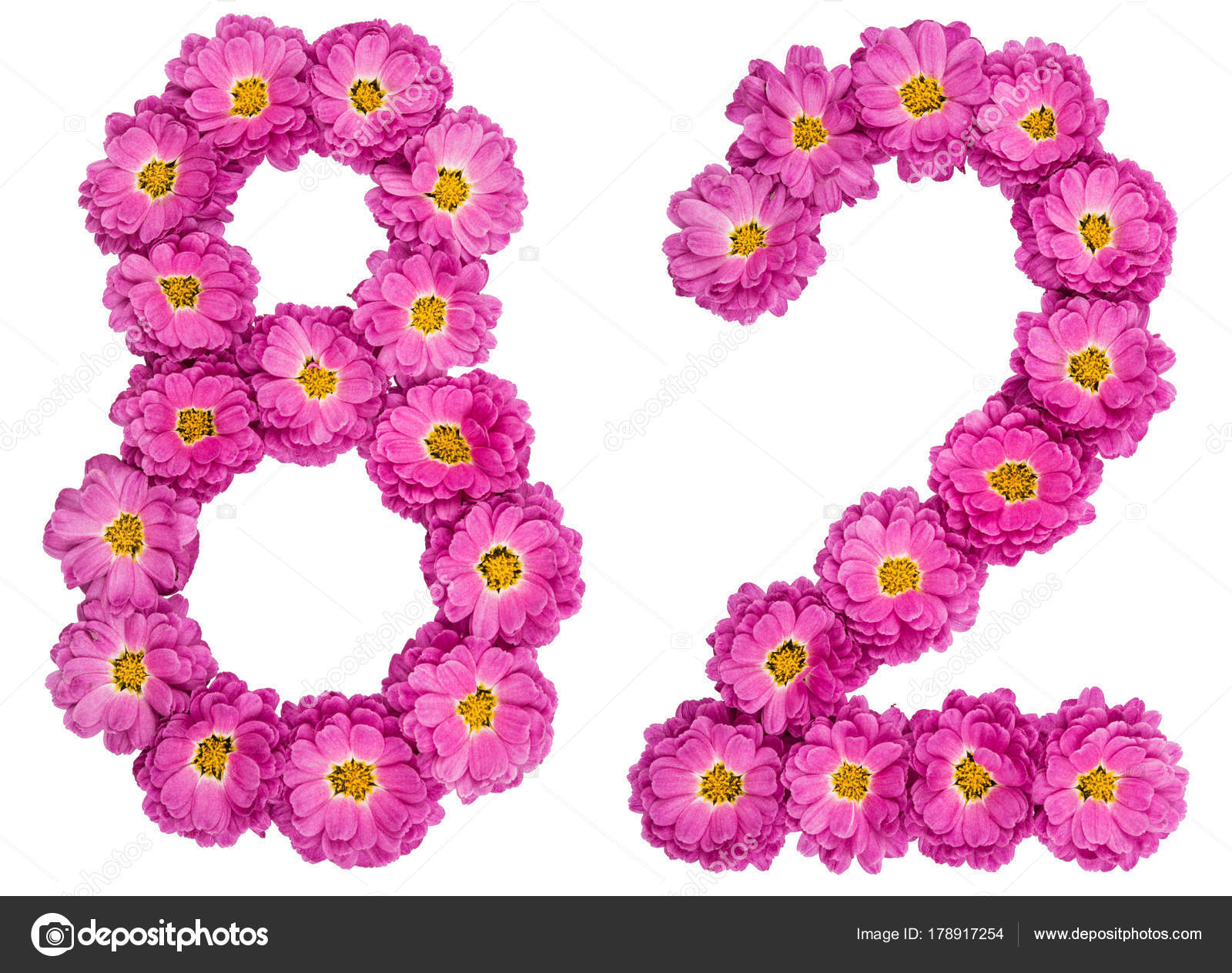 Arabic numeral 82, eighty two, from flowers of chrysanthemum, is — Stock Photo