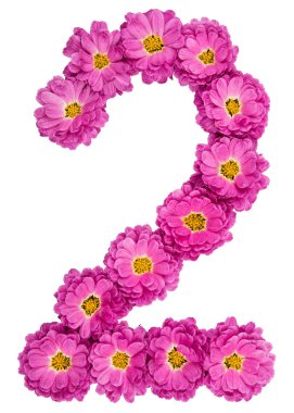 Arapça rakam 2, o iki, Kasımpatı, çiçeklerin izole