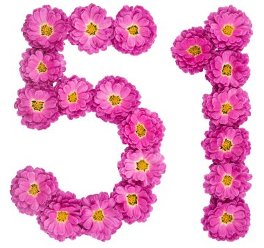 Arapça rakamı 51, elli bir, çiçeklerin Kasımpatı, ISO dan
