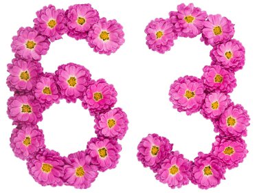 Arapça rakamı 63, altmış üç, Kasımpatı, çiçekleri ben