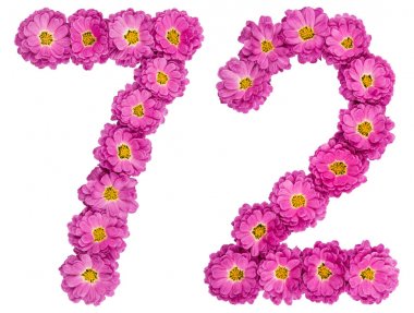Arapça rakamı 72, yetmiş iki, Kasımpatı, çiçekleri ben