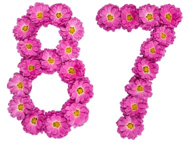 Arapça rakamı 87, seksen yedi, kasımpatı çiçekleri gelen, 