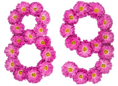 Arapça rakamı 89, seksen dokuz, Kasımpatı, çiçekleri ben