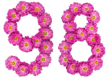 Arapça sayı 98, kasımpatı çiçekleri üzerinden doksan sekiz, 