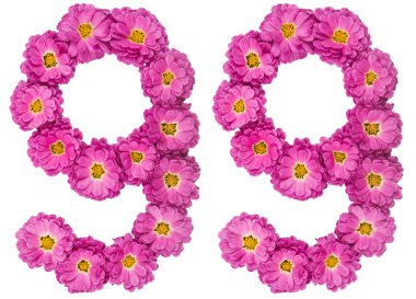 Arapça sayı 99, doksan dokuz, Kasımpatı, çiçekleri ben