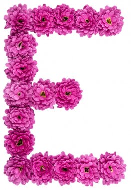 E harfi, wh izole kasımpatı çiçekleri gelen alfabe