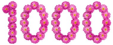 Arapça rakamı 1000, 1000, kasımpatı çiçekleri gelen