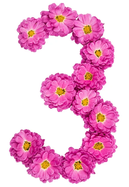 Арабські цифри 3, три з квітами хризантеми, ізольовані — стокове фото