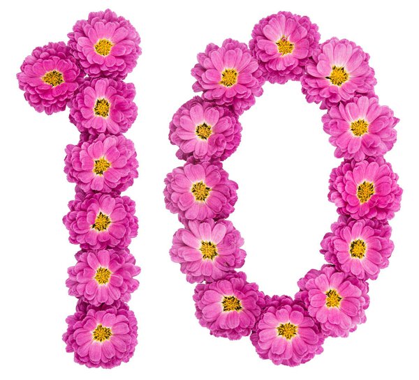 Arabic numeral 10, ten, from flowers of chrysanthemum, isolated 