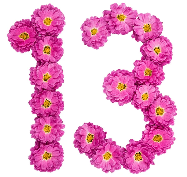 Numero arabo 13, tredici, da fiori di crisantemo, isol — Foto Stock
