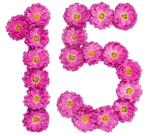 Numero arabo 15, quindici, da fiori di crisantemo, isola — Foto Stock