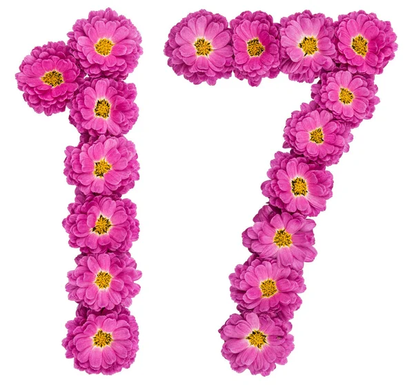 Arapça rakamı 17, on yedi, çiçeklerin Kasımpatı, ISO dan — Stok fotoğraf