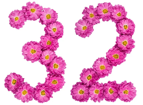 Cyfry arabskie 32, trzydzieści dwa, z kwiatów chryzantemy, jest — Zdjęcie stockowe
