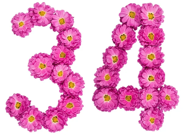 Arabic numeral 34, thirty four, from flowers of chrysanthemum, i — Stock Photo, Image