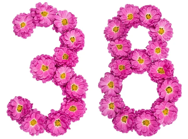 Arabic numeral 38, thirty eight, from flowers of chrysanthemum, — Stock Photo, Image