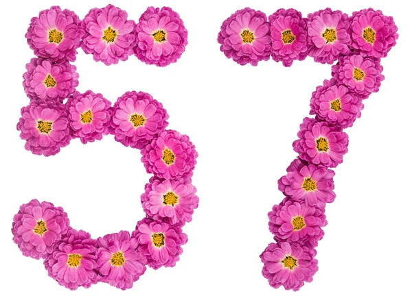 Arapça rakamı 57, Kasımpatı, çiçeklerin üzerinden elli yedi ben — Stok fotoğraf