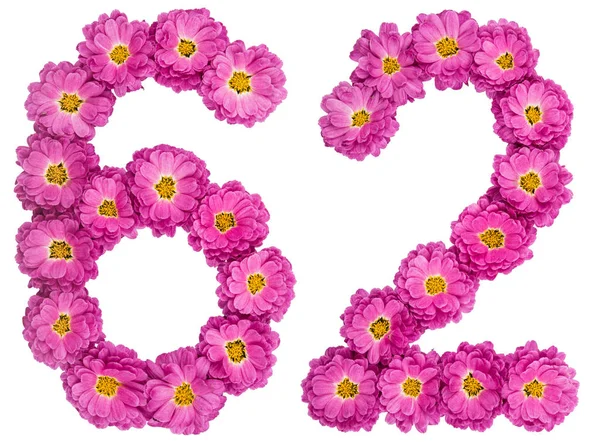 Arabisch cijfer 62, tweeënzestig, van bloemen van chrysant, iso — Stockfoto