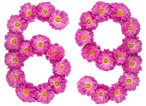 Arap rakamıdır 69, Kasımpatı, çiçeklerin üzerinden Altmış dokuz — Stok fotoğraf