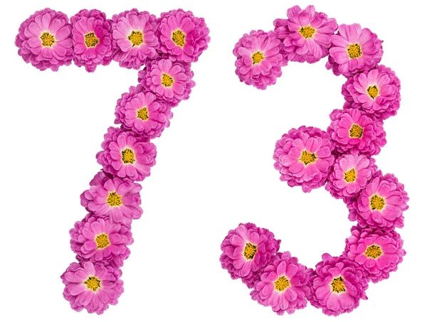 Arapça sayı 73, yetmiş üç, kasımpatı çiçekleri gelen, — Stok fotoğraf