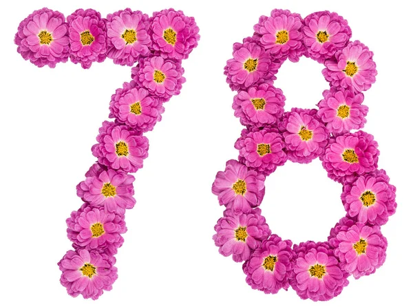 Arapça sayı 78, yetmiş sekiz, kasımpatı çiçekleri gelen, — Stok fotoğraf
