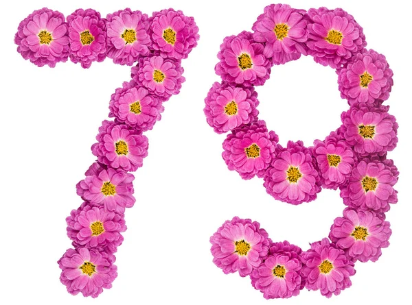 アラビア数字 79、79、菊の花から, — ストック写真