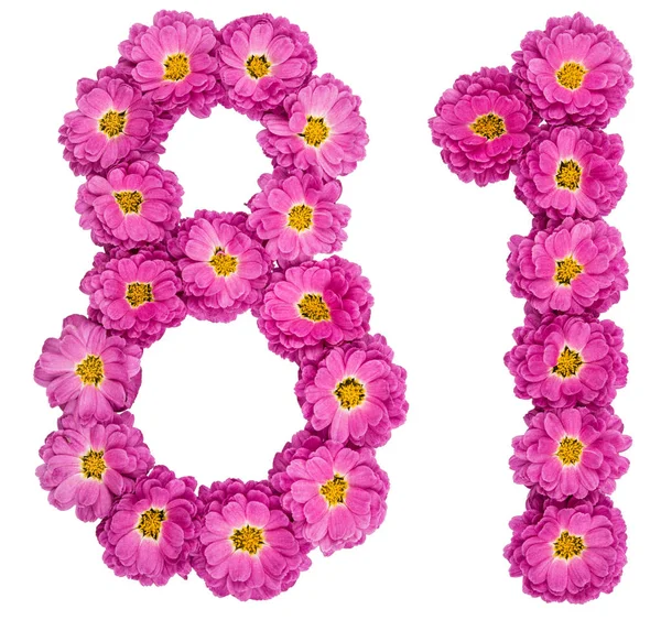 Arabic numeral 81, eighty one, from flowers of chrysanthemum, is — Stock Photo, Image