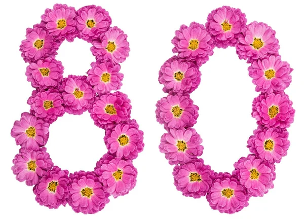 アラビア数字 80、80、菊、人里の花から — ストック写真