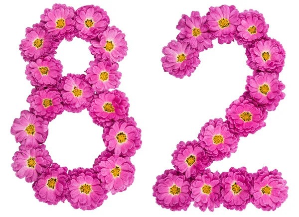 Arabisk siffra 82, åttio två, från blommor av krysantemum, är — Stockfoto