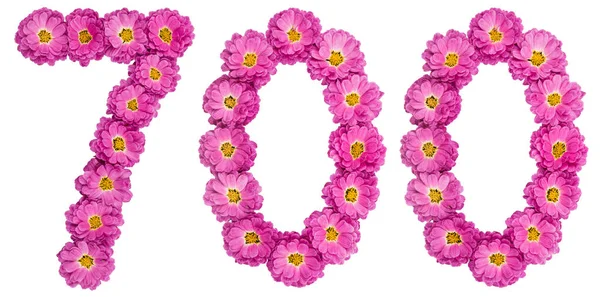 Arabiska siffror 700, sjuhundra, från blommor av krysantemum — Stockfoto