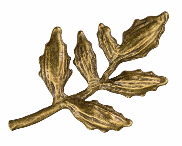 Filigran in Form eines Pflanzenzweiges, dekoratives Element f — Stockfoto