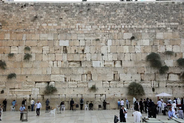 Zsidó ima a nyugati falnál Jeruzsálemben. Izrael — Stock Fotó