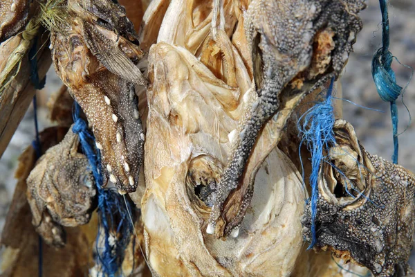 İzlanda'daki stockfish — Stok fotoğraf