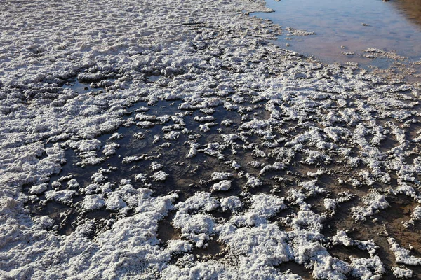 Piscina Badwater no Vale da Morte — Fotografia de Stock