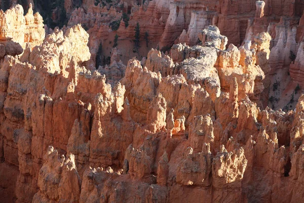 Bryce Canyon Nemzeti Park — Stock Fotó