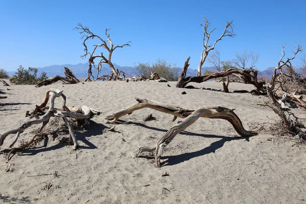 Národní park Death Valley Stock Obrázky