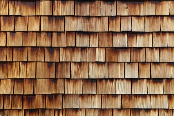 ヒマラヤ スギの鉄片の抽象的な木の質感 — ストック写真