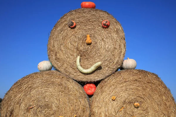 Färska Ekologiska Pumpor Farmers Market Tyskland — Stockfoto