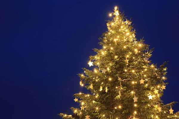 Christmas Tree Blue Hour Germany — Stock Photo, Image