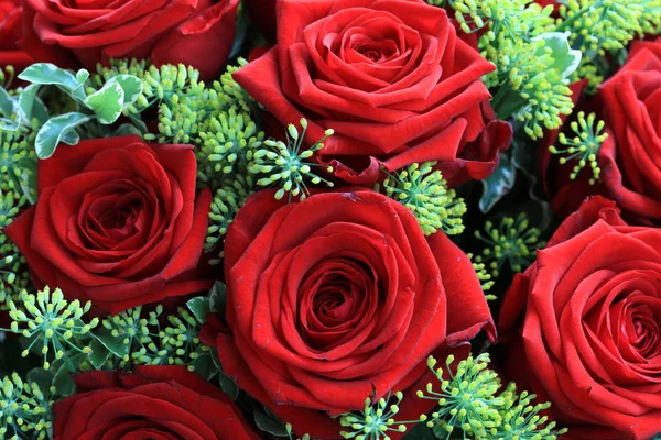 素晴らしい赤いバラの花束が近づいています — ストック写真