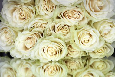 Ayna Üzerinde Beyaz Güller