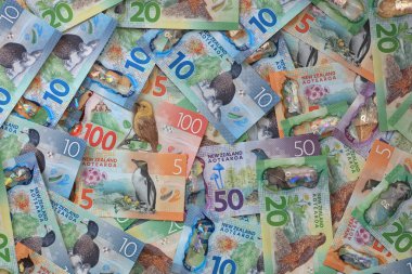 Farklı Yeni Zelanda Dolar Banknotları Yığını