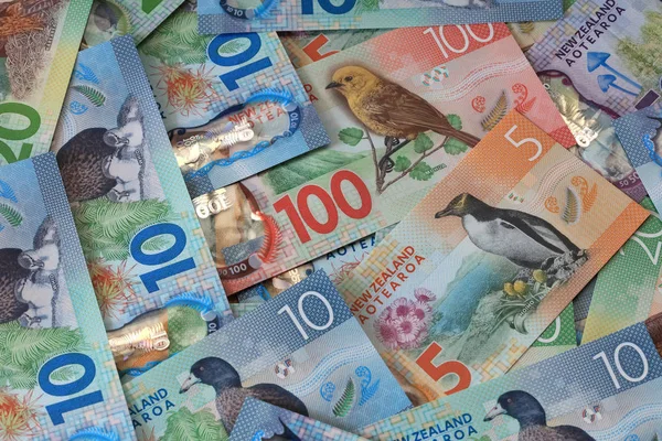 異なるニュージーランドドル紙幣のスタック — ストック写真