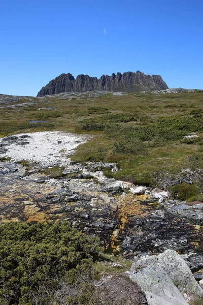 Vagnparken Tasmanien Australien — Stockfoto