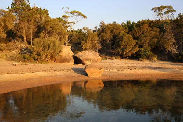 Залив Медового Месяца Национальном Парке Фрейсине Тасмания Австралия — стоковое фото