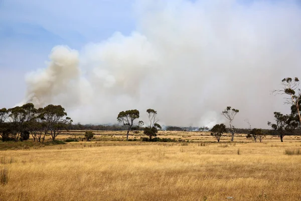 Massive Bush Fire Près Bicheno Tasmanie Australie — Photo