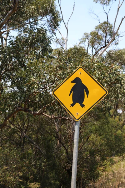 Animal Crossing Sign on a Street in Tasmania. Australia